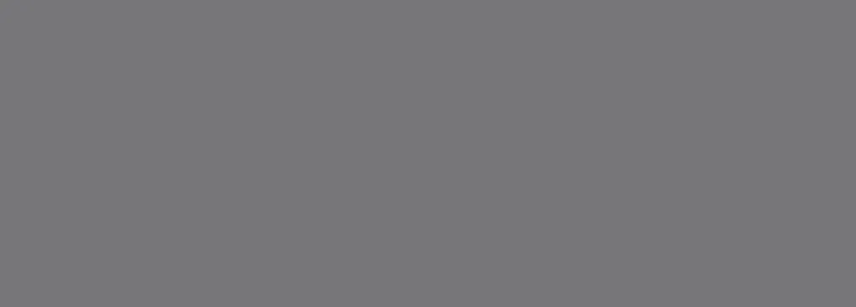 Плитка 00-00108472 Foresta (Фореста) Silver 24,2х70, Eletto Ceramica (Элетто Керамика)