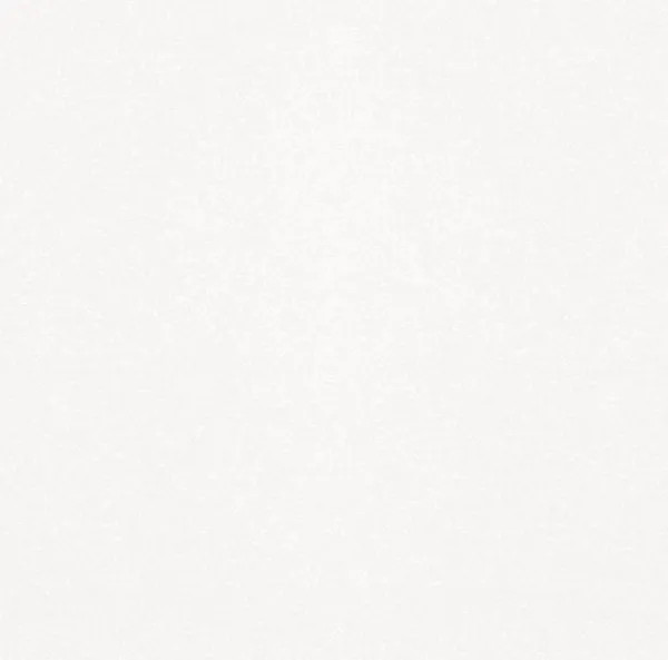 Керамогранит 010400001051 Monocolor sugar white PG 01 60х60, Gracia Ceramica