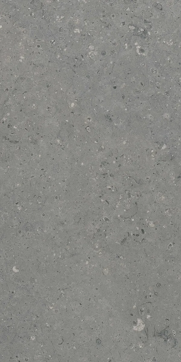 Керамогранит Гранитея G213 Arkaim (Аркаим) Grey 120х60 матовый