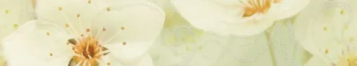 Бордюр 010212001784 Сакура зел 01 глянцевая 40х7,5, Gracia Ceramica