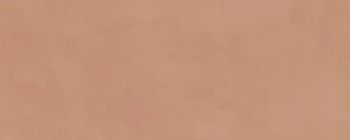 Плитка 7254 Каннареджо оранжевый матовый 20x50x0,8, Kerama Marazzi (Керама Марацци)