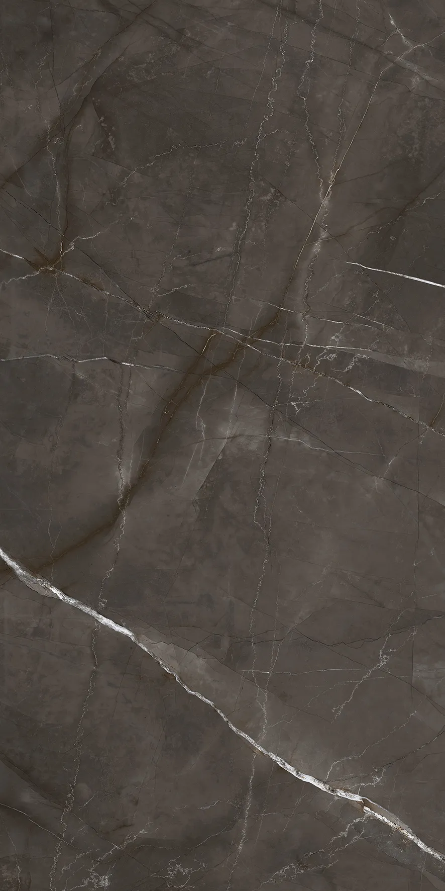 Керамогранит LP6012G0051R Timeless Marrone матовый 59,5х119,1, Laparet