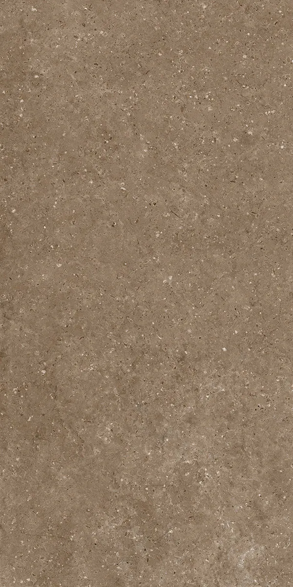 Керамогранит Гранитея G214 Arkaim (Аркаим) Brown 120х60 матовый