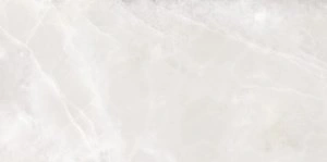 Интерьер с плиткой Rivoli 24