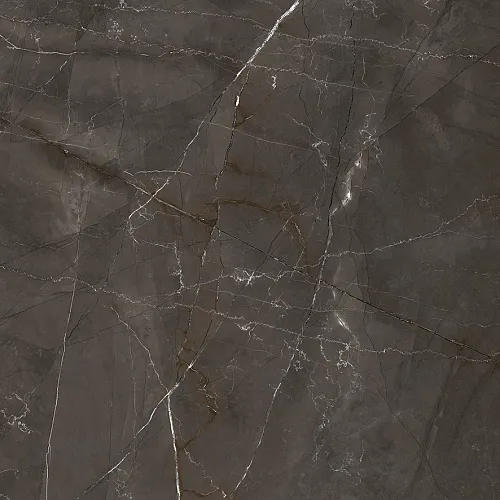Керамогранит LP6060G0061R Timeless Marrone матовый 59,5х59,5, Laparet