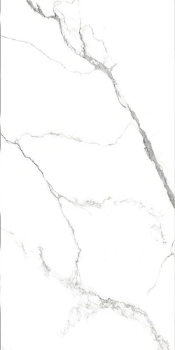 Купить Керамогранит AB 1124G Statuario Titan полированный 60х120, Absolut Gres в Санкт-Петербурге | Плитбург