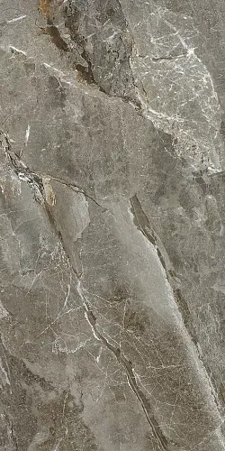Купить Керамогранит AB 1128G Aquaﬁna Natural полированный 60х120, Absolut Gres в Санкт-Петербурге | Плитбург