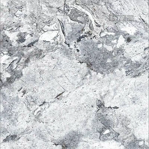 Керамогранит AB 1111G Ordito Grey полированный 60х60, Absolut Gres