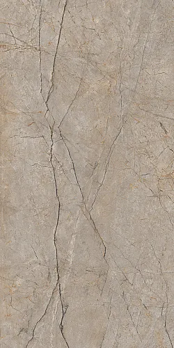 Купить Керамогранит A17124 Futura (Футура) тонкий Silver Roots серый ректификат 60х120, Cersanit в Санкт-Петербурге | Плитбург
