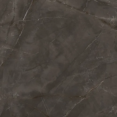Керамогранит LP6060G0061R Timeless Marrone матовый 59,5х59,5, Laparet
