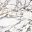 Коллекция керамогранита Marble (Марбл) 60х60, Gracia Ceramica