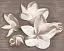 Панно 584192003 Amati (Амати) Plumeria Alba коричневый 50,5х40,2, Azori (Азори)