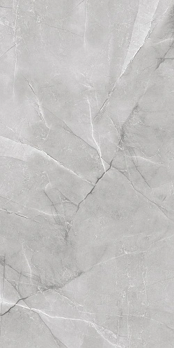 Купить Керамогранит AB 1142G Armani Silver полированный 60х120, Absolut Gres в Санкт-Петербурге | Плитбург