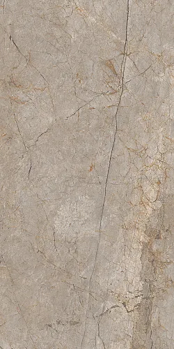 Купить Керамогранит A17124 Futura (Футура) тонкий Silver Roots серый ректификат 60х120, Cersanit в Санкт-Петербурге | Плитбург