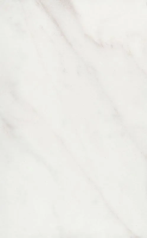 Плитка 6343 Гран Пале белый глянцевый 25x40x0,8, Kerama Marazzi (Керама Марацци)