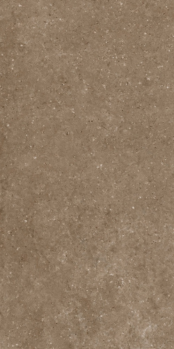 Керамогранит Гранитея G214 Arkaim (Аркаим) Brown 120х60 матовый