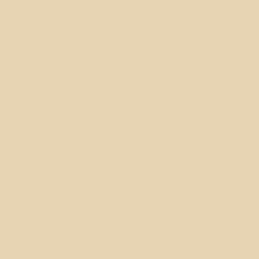 10101004355 Monocolor beige RAL0809005 wall 01 матовая плитка д/стен 20х20, Gracia Ceramica
