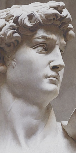 Керамический ковер VT\B564\SG591820R Давид 2 матовый обрезной 119,5х238,5х0,9, Kerama Marazzi (Керама Марацци)