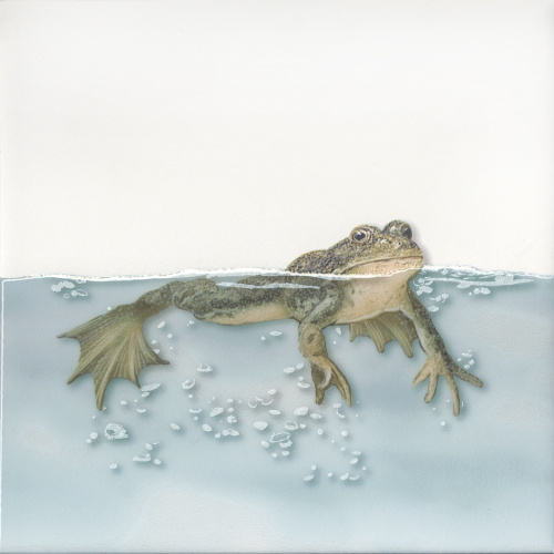 Декор VT\A472\5009 Чудо-озеро 5 20x20x0,69, Kerama Marazzi (Керама Марацци)