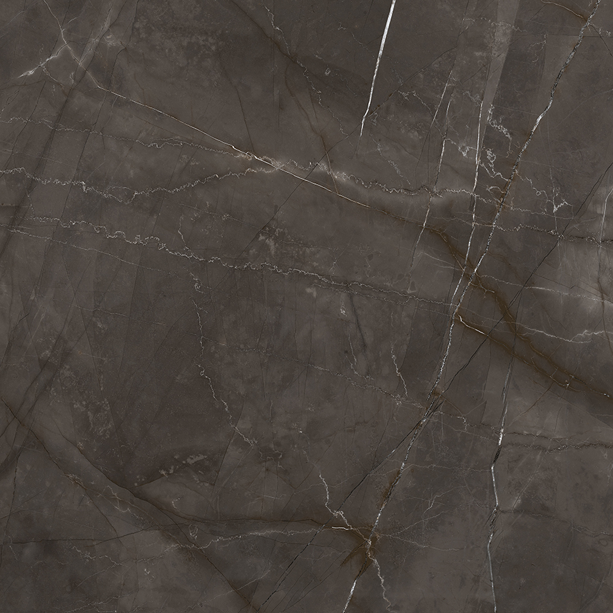 Керамогранит LP6060G0061R Timeless Marrone матовый 59,5х59,5, Laparet