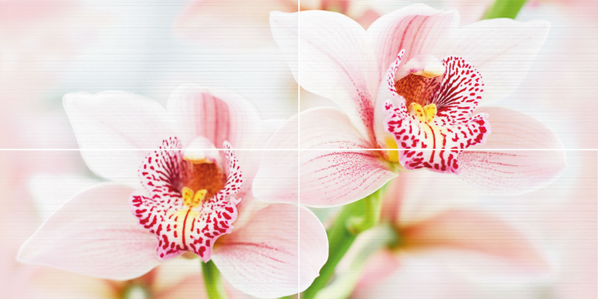 плитка орхидея фото