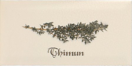 картинка Decor Thimun Crema бежевый декор 10*20, АРЕ от магазина Плитбург 