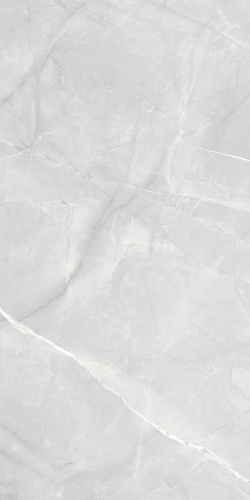 Керамогранит LP6012G0021R Timeless Grigio матовый 59,5х119,1, Laparet