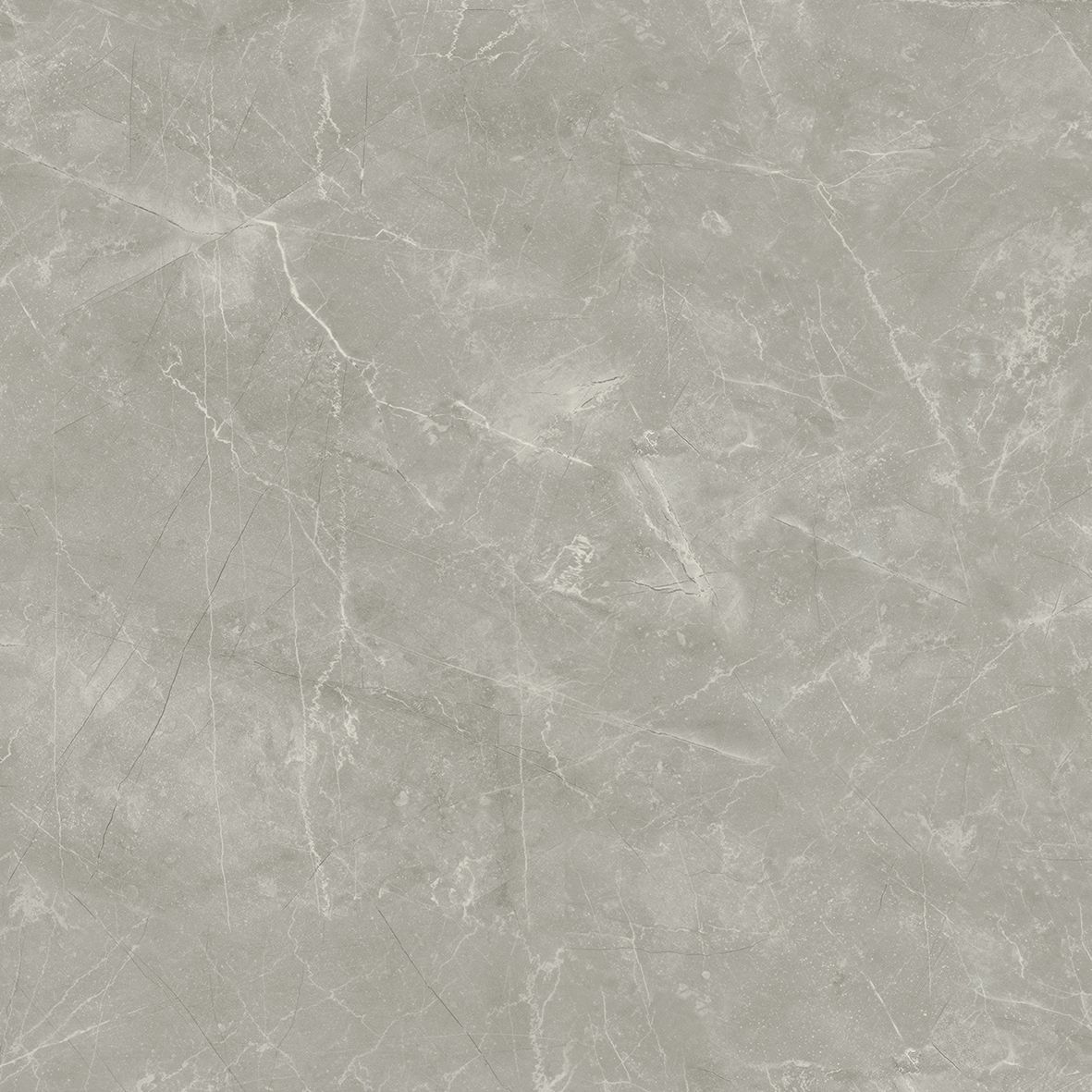 Wolf grey керамогранит сатинированный 80x80 керамогранит, Laparet