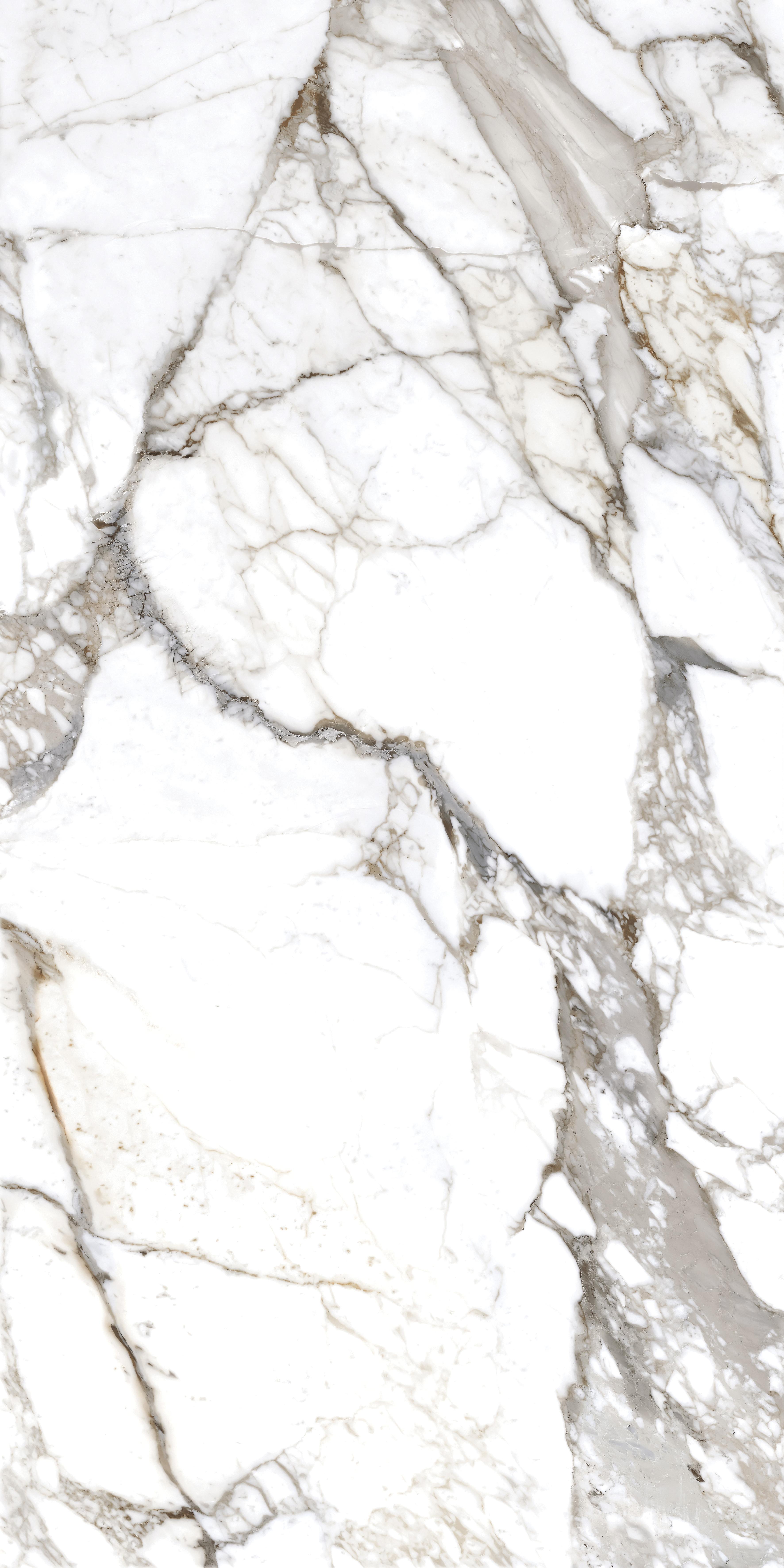 A17431 Silvia (Силвия) белый полированный ректификат керамогранит 60х120, Cersanit