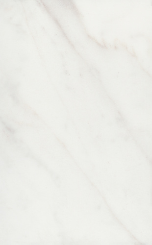 Плитка 6343 Гран Пале белый глянцевый 25x40x0,8, Kerama Marazzi (Керама Марацци)