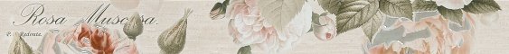 10212001811 Garden Rose beige border 01 матовый бордюр 60х6,5, Gracia Ceramica