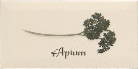 картинка Decor Apium Cremа бежевый декор 10*20, АРЕ от магазина Плитбург 