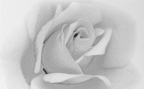 10301001885 Камелия чер декор 02 глянцевая 25х40, Gracia Ceramica