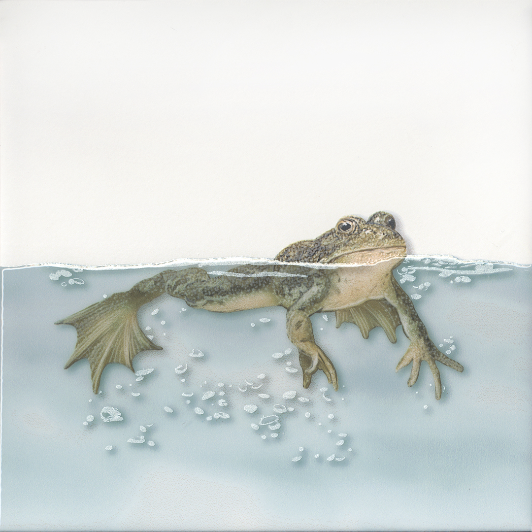 Декор VT\A472\5009 Чудо-озеро 5 20x20x0,69, Kerama Marazzi (Керама Марацци)