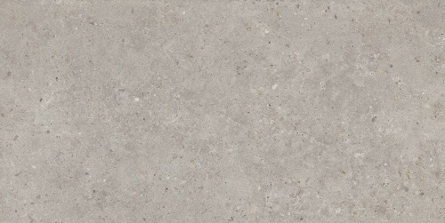 Керамогранит SG519920R Риккарди серый светлый матовый обрезной 60х119,5x0,9, Kerama Marazzi (Керама Марацци)