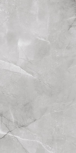Керамогранит AB 1142G Armani Silver полированный 60х120, Absolut Gres