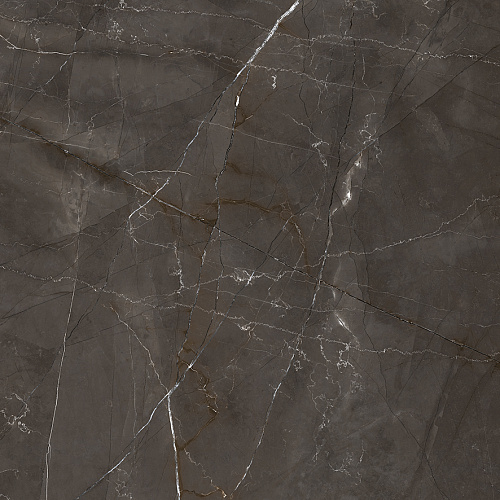 Керамогранит LP6060G0061R Timeless Marrone матовый 59,5х59,5, Laparet