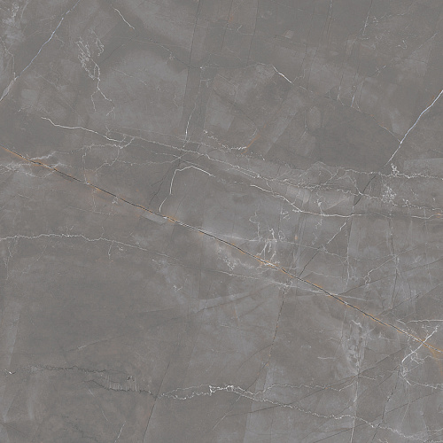 Керамогранит LP6060G0051R Timeless Taupe матовый 59,5х59,5, Laparet