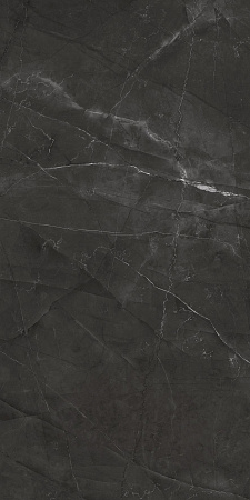 Керамогранит Laparet Timeless Grafite графит LP6012G0031R 59,5х119,1 матовый карвинг