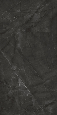 Керамогранит Laparet Timeless Grafite графит LP6012G0031R 59,5х119,1 матовый карвинг