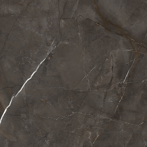 Керамогранит LP6060G0061R Timeless Marrone матовый 59,5х59,5, Laparet