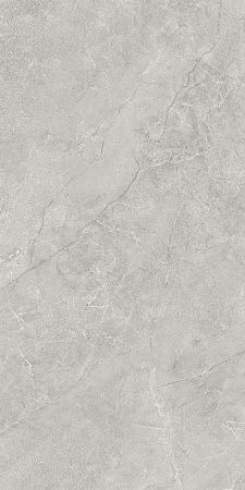 Керамогранит Laparet Pluto Silver светло-серый SG50005220R 59,5х119,1 матовый