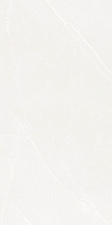 Керамогранит Laparet Opera Bianco белый LP6012G0191R 59,5х119,1 матовый карвинг