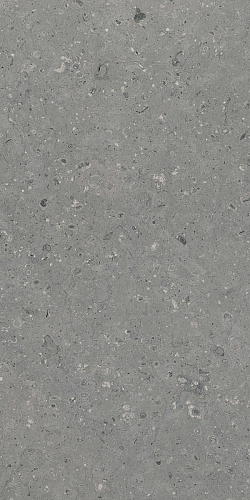 Керамогранит Гранитея G213 Arkaim (Аркаим) Grey 120х60 матовый