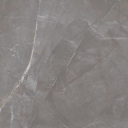 Керамогранит Laparet Timeless Taupe серо-бежевый LP6060G0051R 59,5х59,5 матовый карвинг