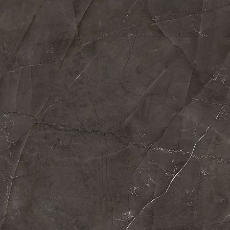 Керамогранит Laparet Timeless Marrone коричневый LP6060G0061R 59,5х59,5 матовый карвинг