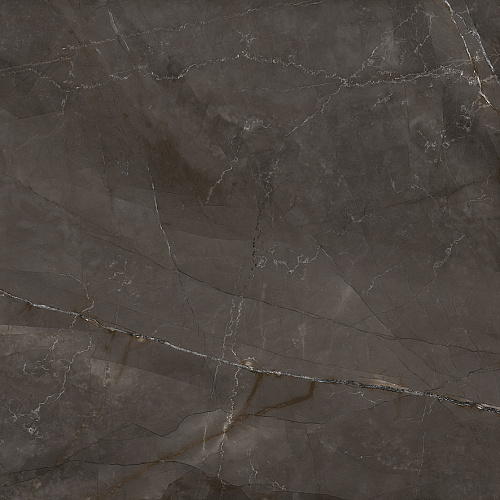 Керамогранит LP6060G0061R Timeless Marrone матовый 59,5х59,5, Laparet