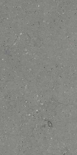 Керамогранит Гранитея G213 Arkaim (Аркаим) Grey 120х60 матовый
