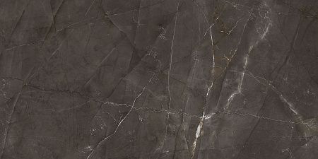 Керамогранит Laparet Timeless Marrone коричневый LP6012G0051R 59,5х119,1 матовый карвинг