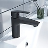 RAYBL00i01 Ray смеситель для умывальника черный, Iddis